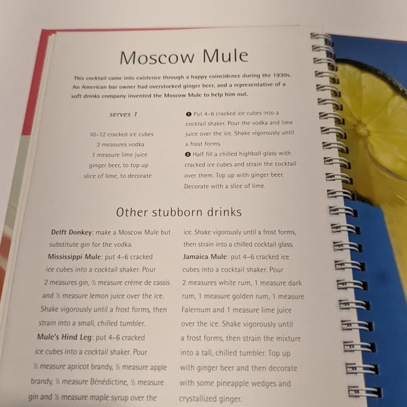 Cocktail Drinks Recipe Book Lot (2 Hardcover) – Shaken, Stirred, Non-Alcoholic - Picture 7 of 14